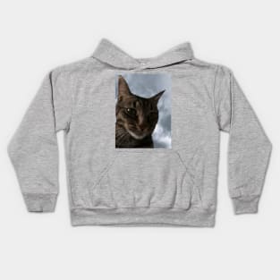 Cloudy with a Chance of Tabby Kids Hoodie